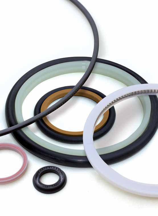 Rotary Shaft Seals
